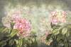 Постер - Нежные розовые цветы на фоне зеленого фона, 90 x 60 см, Постер в раме, Ботаника