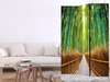 Screen - Bamboo forest, 7