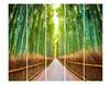 Paravan - Pădurea de bambus, 3