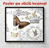 Постер - Коричневая бабочка, 100 x 100 см, Постер в раме, Прованс