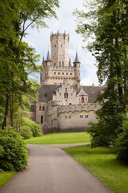 Wall Mural - Lovely castle in the forest
