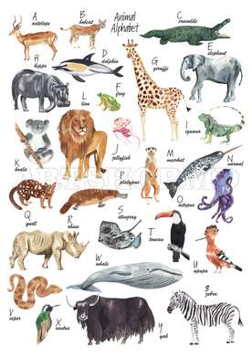 Poster - Alphabet with animals for children, 60 x 90 см, Framed poster on glass, For Kids