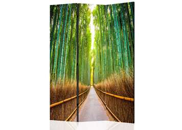 Screen - Bamboo forest, 3