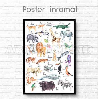 Poster - Alphabet with animals for children, 60 x 90 см, Framed poster on glass, For Kids