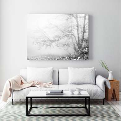 Постер - Черно белый пейзаж у озера, 90 x 60 см, Постер в раме, Черно Белые