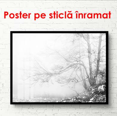 Постер - Черно белый пейзаж у озера, 90 x 60 см, Постер в раме, Черно Белые