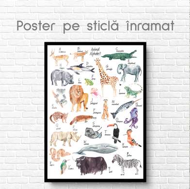 Poster - Alphabet with animals for children, 60 x 90 см, Framed poster on glass, For Kids