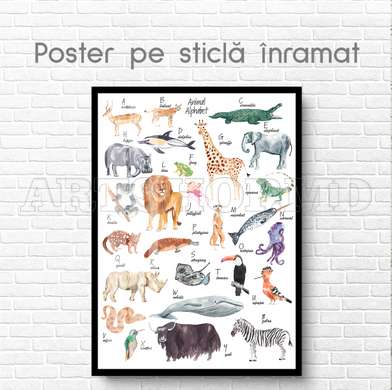 Poster - Alphabet with animals for children, 60 x 90 см, Framed poster on glass, For Kids