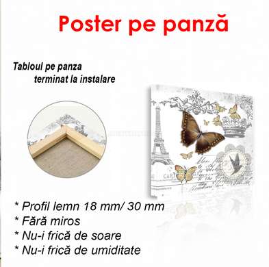 Poster - Fluture maro, 100 x 100 см, Poster înrămat, Provence