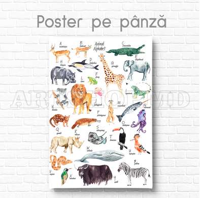 Poster - Alphabet with animals for children, 60 x 90 см, Framed poster on glass, For Kids