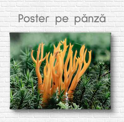 Постер - Яркий коралл, 45 x 30 см, Холст на подрамнике