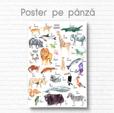 Poster - Alfabet cu animale pentru copii, 60 x 90 см, Poster inramat pe sticla
