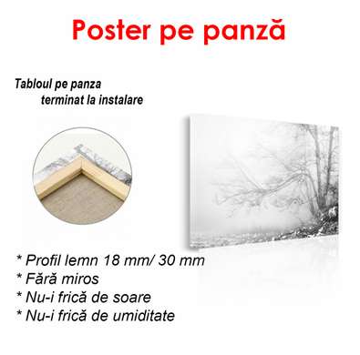 Poster - Peisajul alb-negru lângă un lac, 90 x 60 см, Poster înrămat, Alb Negru