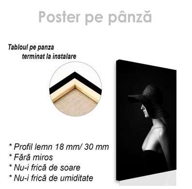 Poster - Girl in a hat, 60 x 90 см, Framed poster on glass, Nude