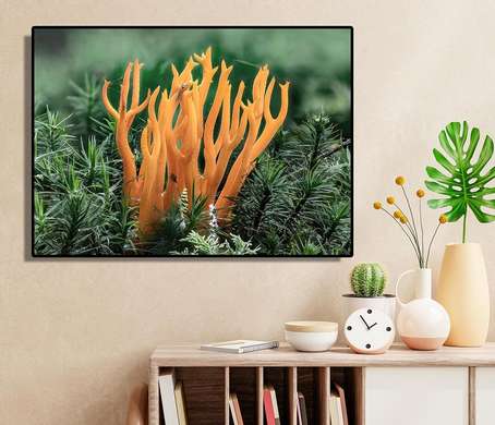 Poster - Coral oranj, 45 x 30 см, Panza pe cadru