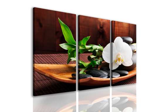 Modular picture, Orchids on a plate.