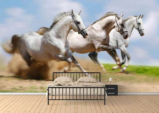 Wall Murall - White horses against the sky