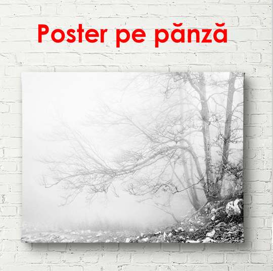 Постер - Черно белый пейзаж у озера, 90 x 60 см, Постер в раме