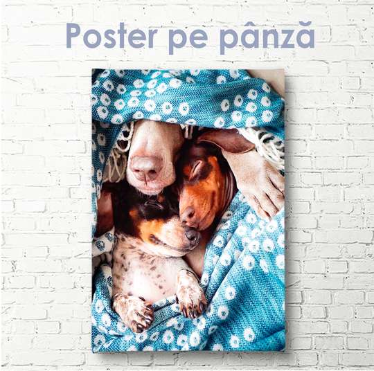Poster, Idilă drăguță de câini, 30 x 45 см, Panza pe cadru, Animale