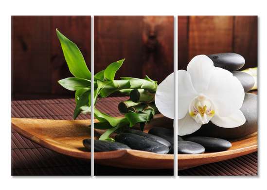 Tablou Pe Panza Multicanvas, Orhidee pe o farfurie.