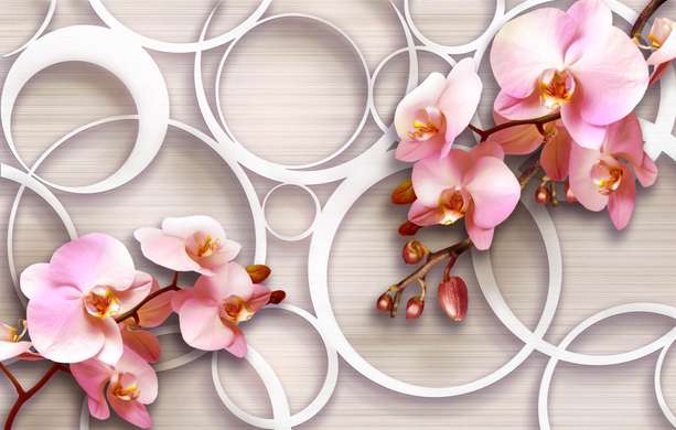 Ширма - Розовая Орхидея и круги на бежевом фоне, 7