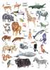 Постер - Алфавит с животными для детей, 60 x 90 см, Постер на Стекле в раме, Для Детей