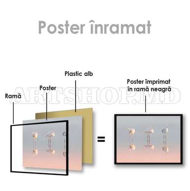 Poster, Flamingo, 90 x 60 см, Poster inramat pe sticla, Animale