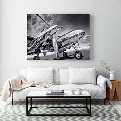 Poster - Black and white plane, 45 x 30 см, Canvas on frame, Transport