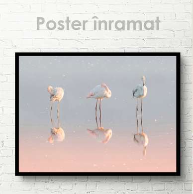 Постер, Фламинго, 45 x 30 см, Холст на подрамнике, Животные
