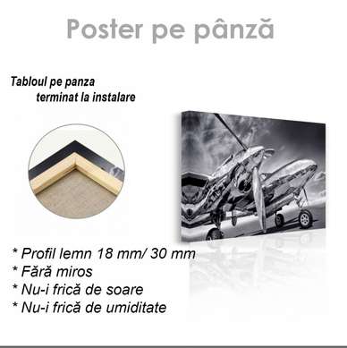 Poster - Avion alb-negru, 45 x 30 см, Panza pe cadru, Transport