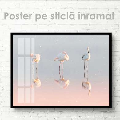 Poster, Flamingo, 45 x 30 см, Panza pe cadru, Animale