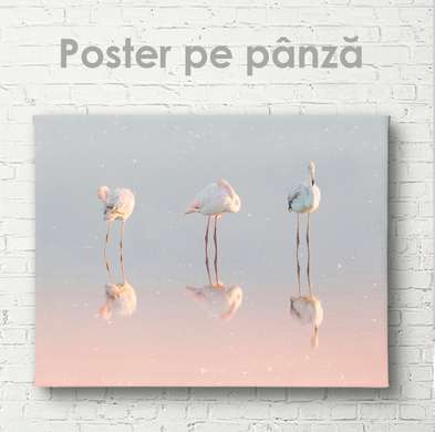 Постер, Фламинго, 45 x 30 см, Холст на подрамнике, Животные