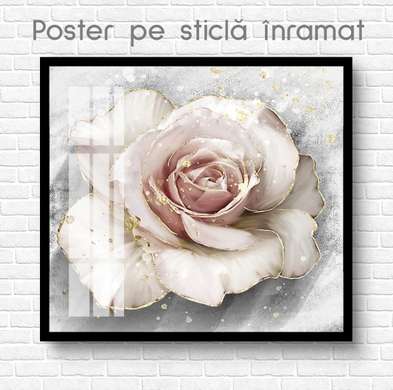 Poster - Delicate rose, 100 x 100 см, Framed poster on glass, Botanical