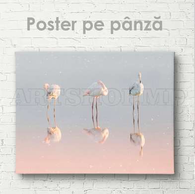 Poster, Flamingo, 90 x 60 см, Poster inramat pe sticla, Animale