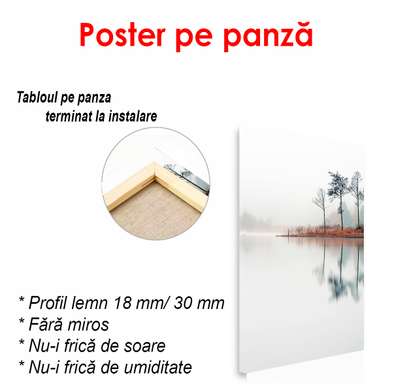 Poster - Lake in a foggy park, 45 x 90 см, Framed poster on glass, Nature