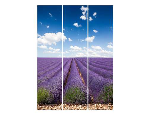 Screen - Lavender field, 7