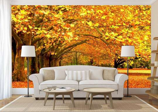 Wall Mural - Yellow forest