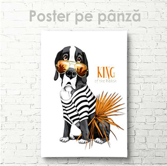 Постер, Король Пляжа, 30 x 45 см, Холст на подрамнике, Животные