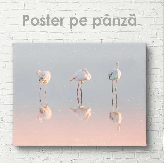 Постер, Фламинго, 45 x 30 см, Холст на подрамнике