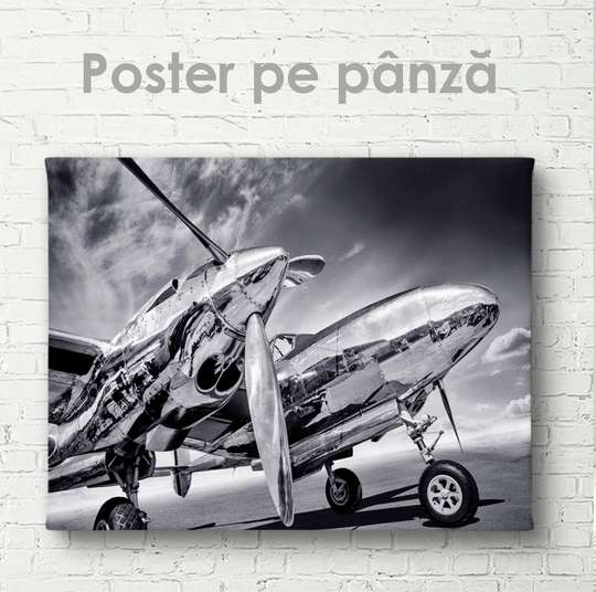 Poster - Avion alb-negru, 45 x 30 см, Panza pe cadru