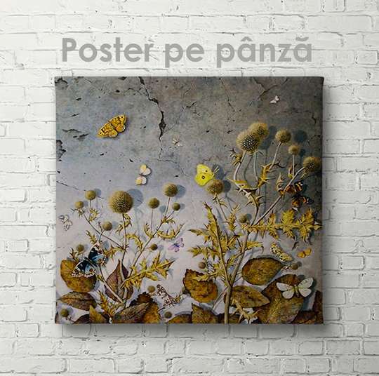 Poster - Butterflies in thorns, 40 x 40 см, Canvas on frame