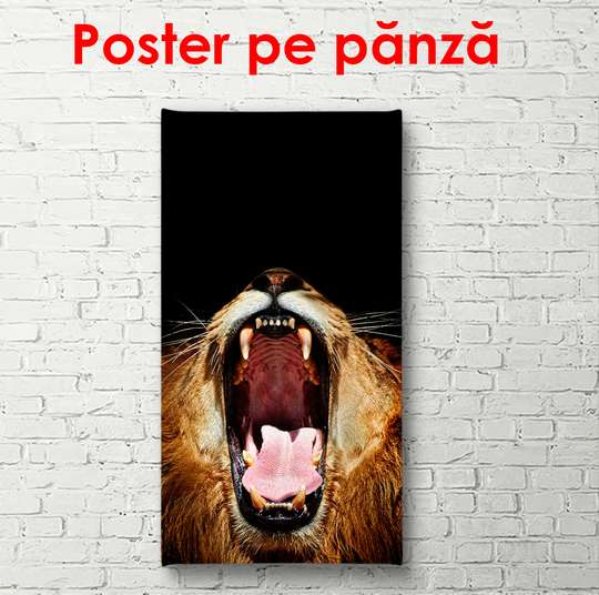 Poster, Leul, 50 x 150 см, Poster înrămat