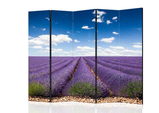 Screen - Lavender field, 7