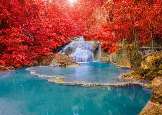 Wall Mural - Cascade on the background of plants with red leaves