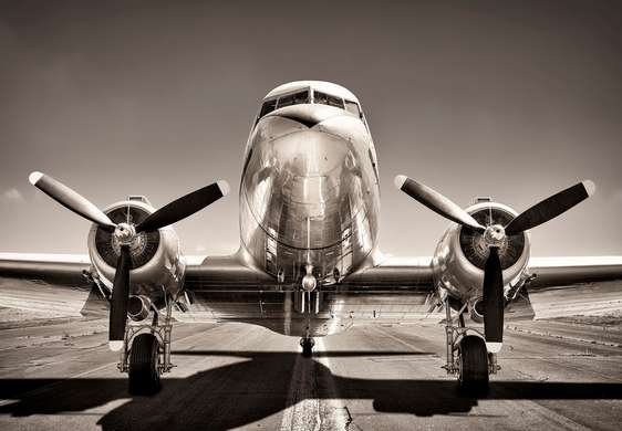 Фотообои - Черно белый снимок самолета