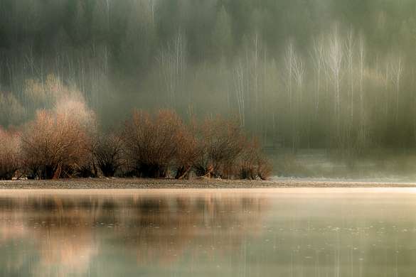 Фотообои - Озеро у леса