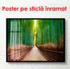 Poster - Drumul de bambus, 90 x 60 см, Poster înrămat, Natură