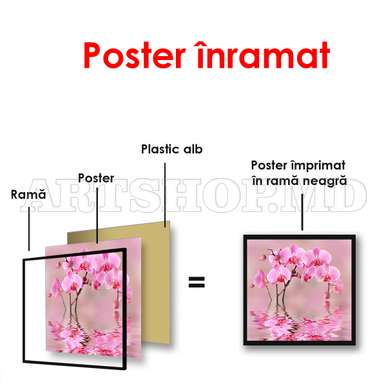 Poster - Orhidee în reflexia apei, 100 x 100 см, Poster înrămat, Flori