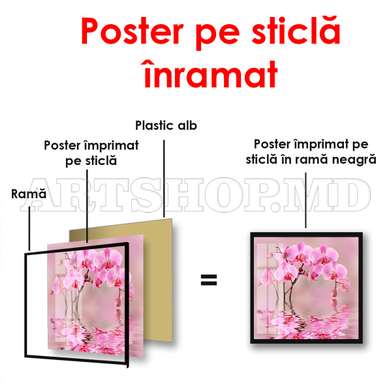 Poster - Orhidee în reflexia apei, 100 x 100 см, Poster înrămat, Flori