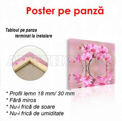 Poster - Orhidee în reflexia apei, 100 x 100 см, Poster înrămat, Flori